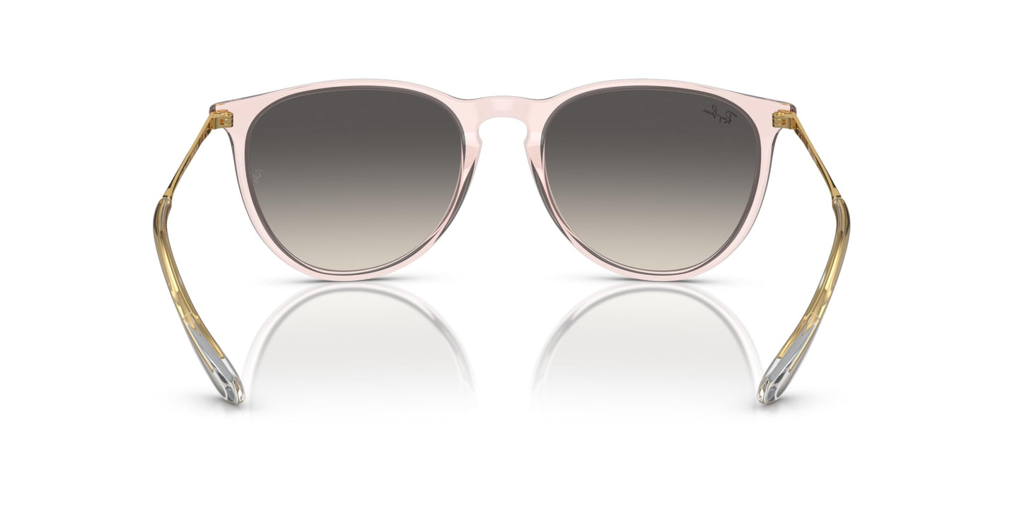 Ray-Ban Erika Sunglasses