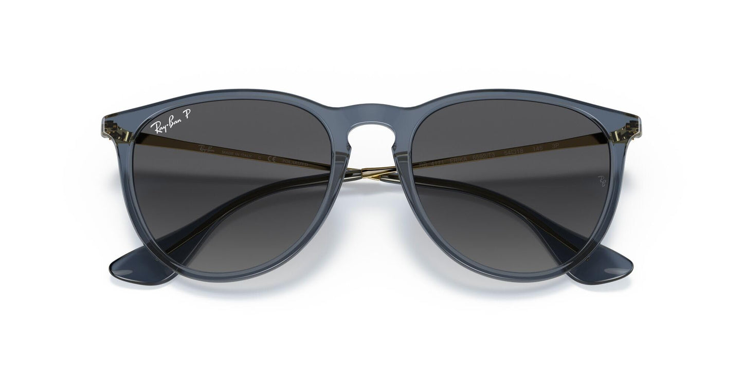 Ray-Ban Erika Sunglasses