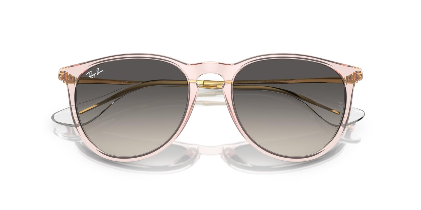 Ray-Ban Erika Sunglasses