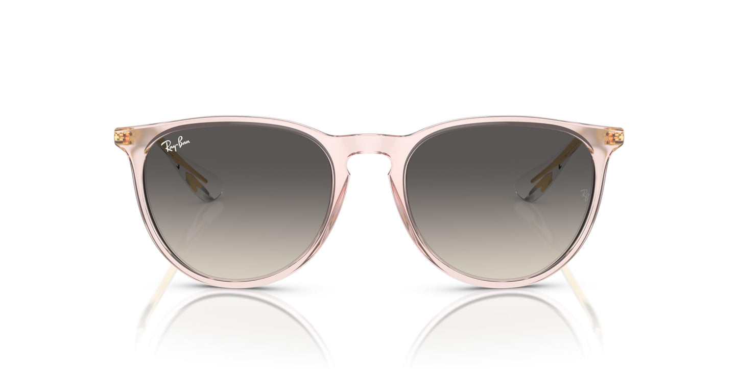 Ray-Ban Erika Sunglasses