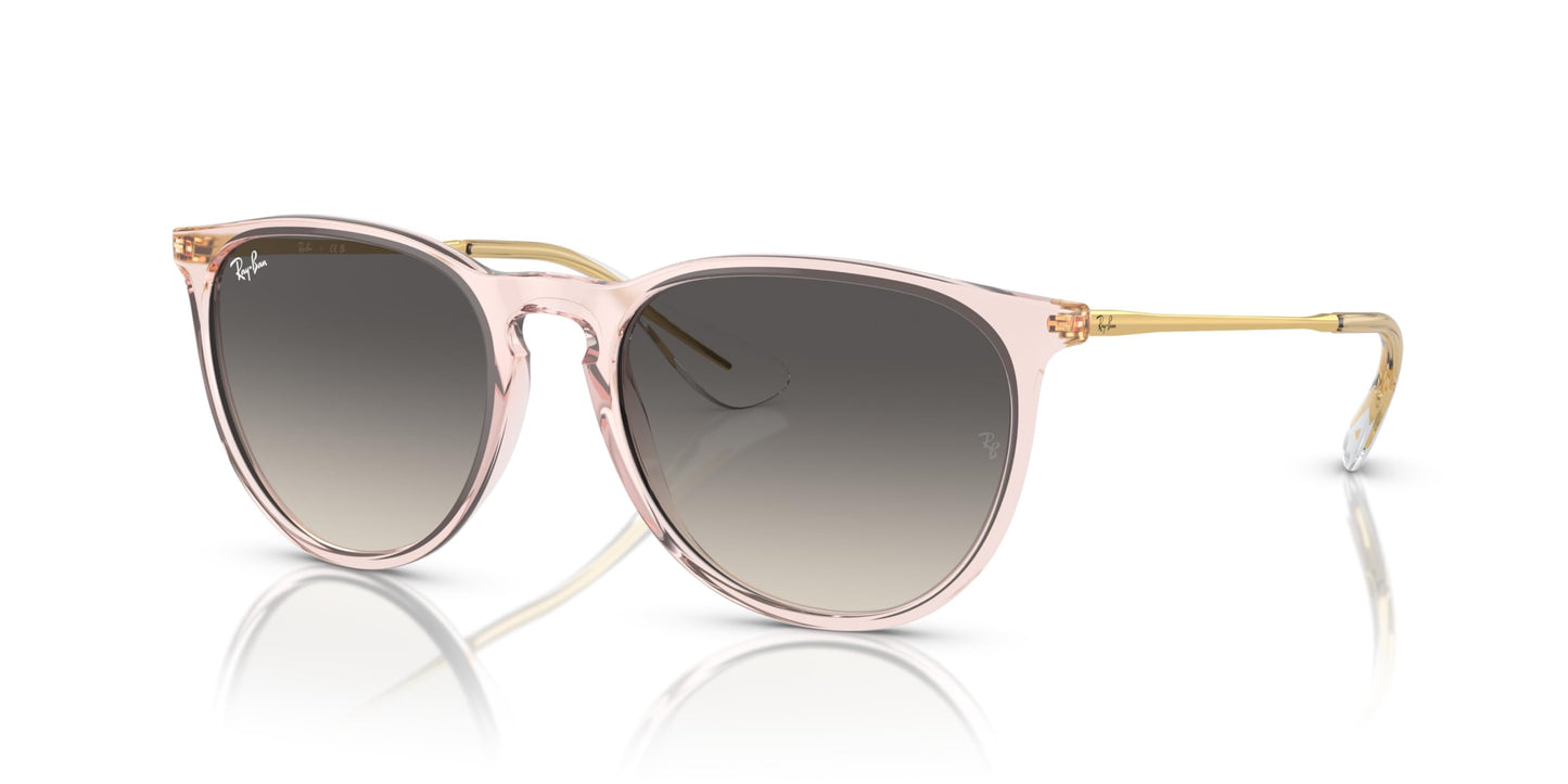 Ray-Ban Erika Sunglasses