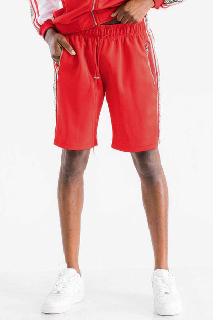 Snake Print Shorts - Purcell's Clothing Company