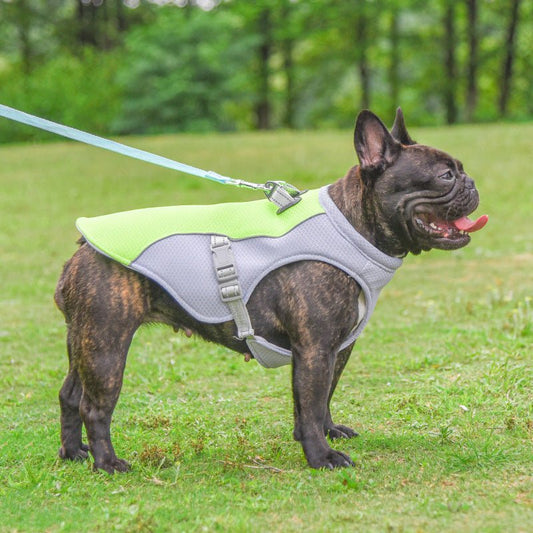 Breathable Dog Vest - Purcell's Clothing Company - 0