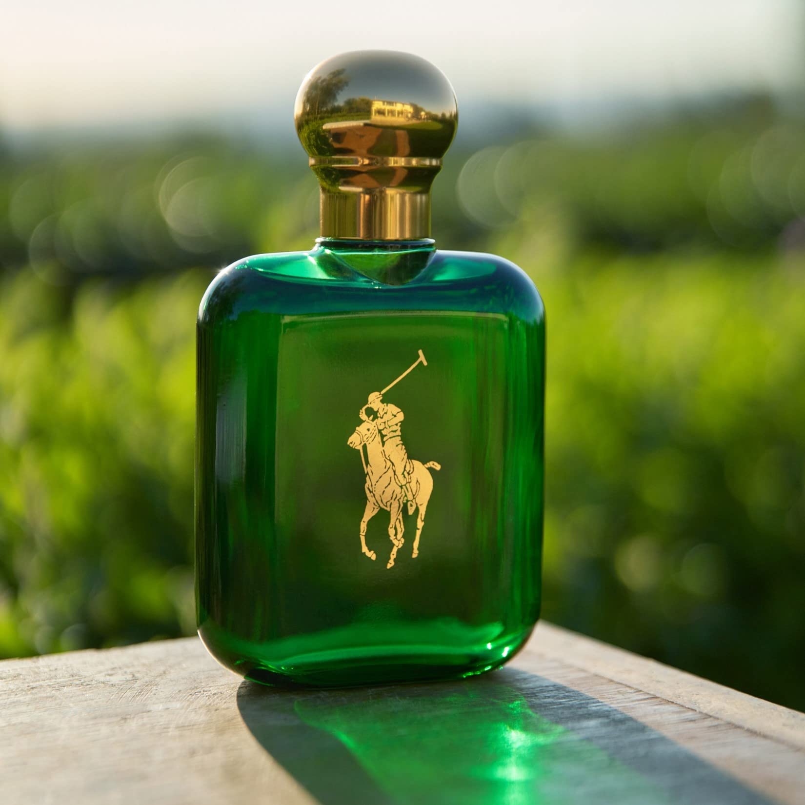 POLO RALPH LAUREN Woody And Spicy with Pine Cologne - Purcell's Clothing Company - 