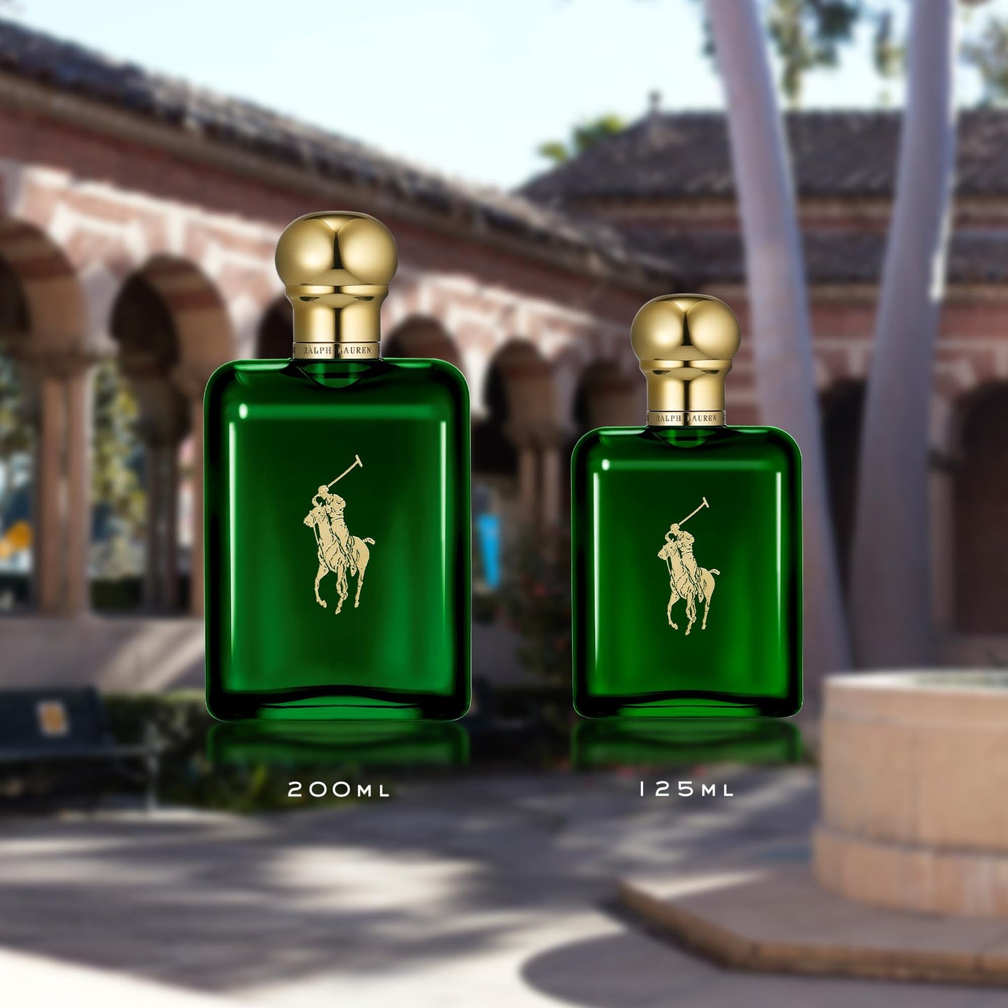 POLO RALPH LAUREN Woody And Spicy with Pine Cologne - Purcell's Clothing Company - 