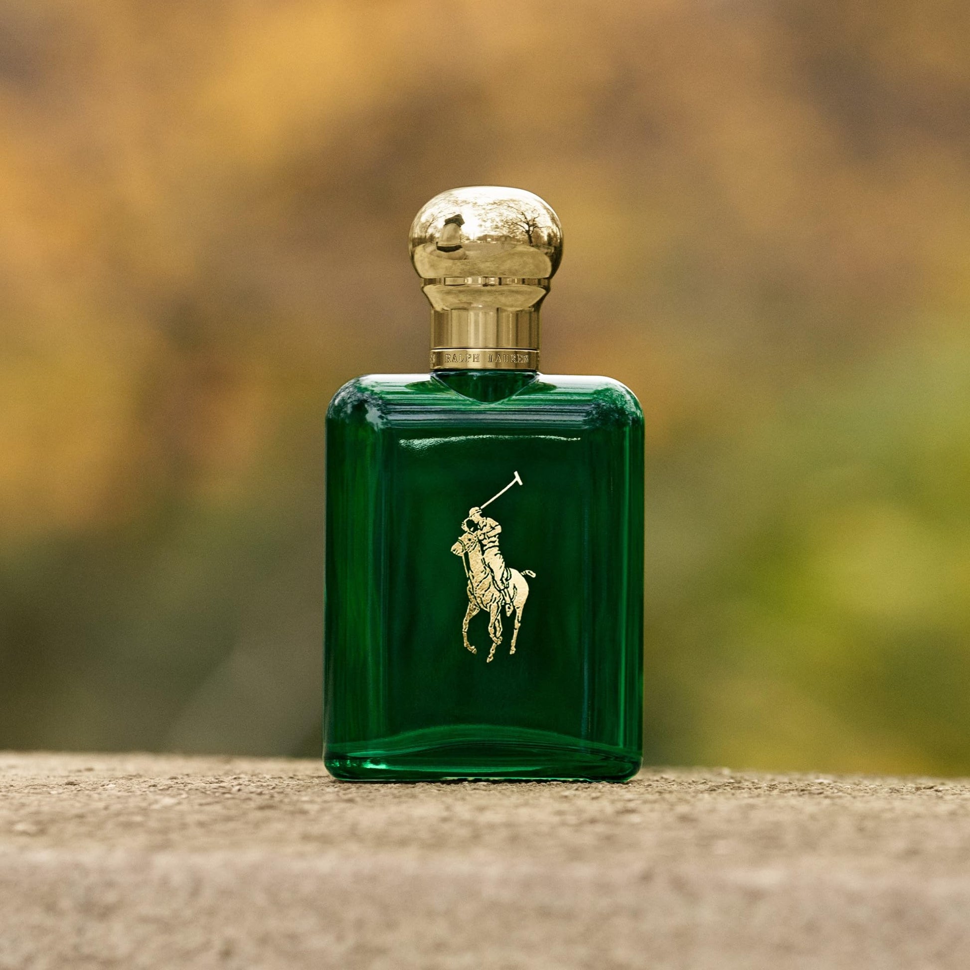 POLO RALPH LAUREN Woody And Spicy with Pine Cologne - Purcell's Clothing Company - 