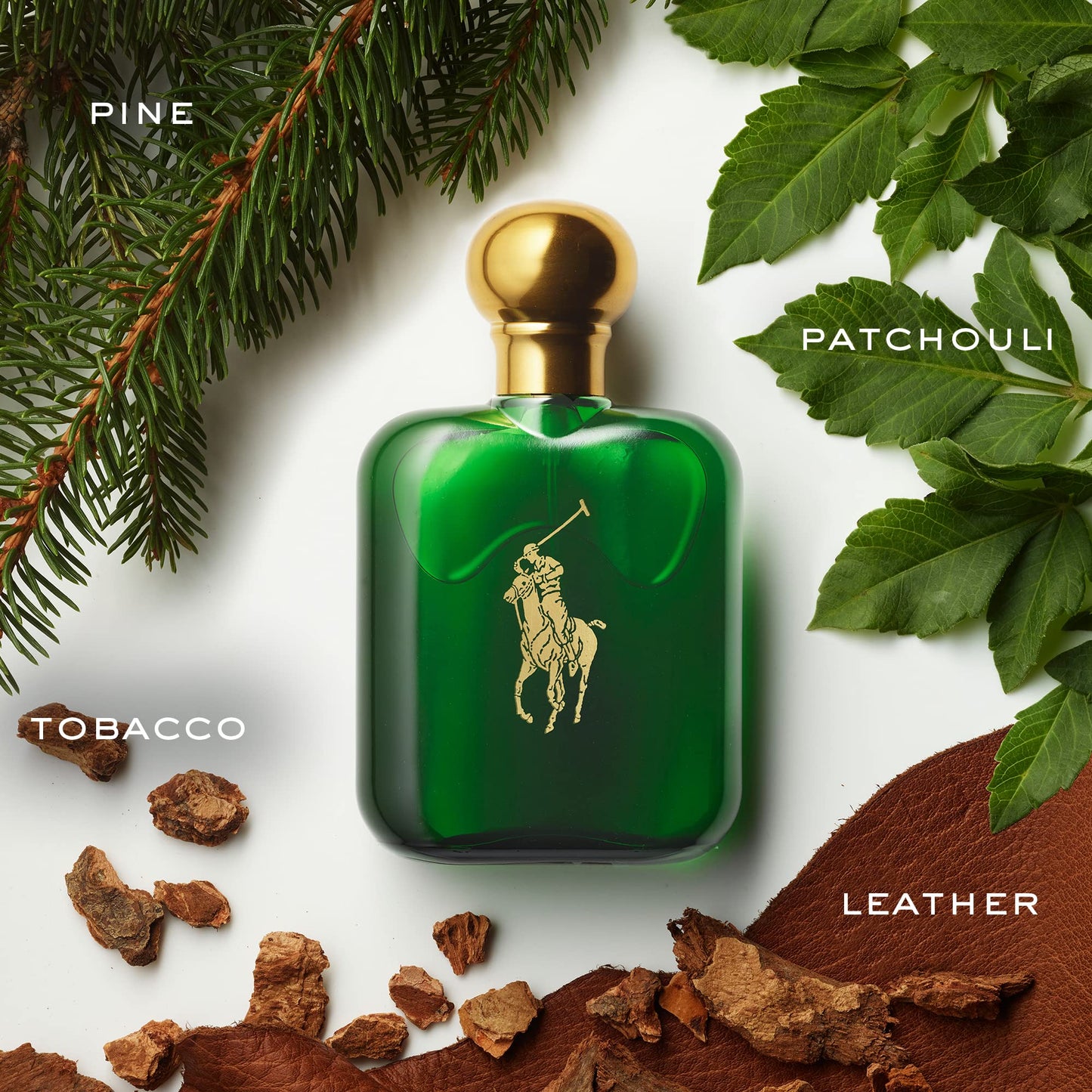 POLO RALPH LAUREN Woody And Spicy with Pine Cologne - Purcell's Clothing Company - 