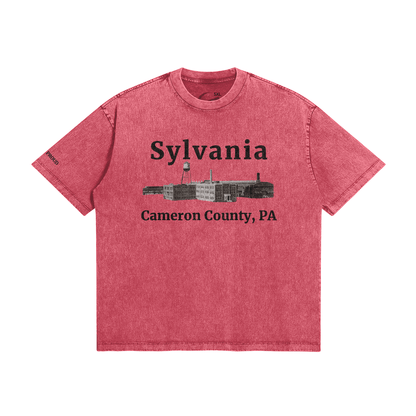 Camco Proud Unisex Oversized Snow Wash T-Shirt - Purcell's Clothing Company