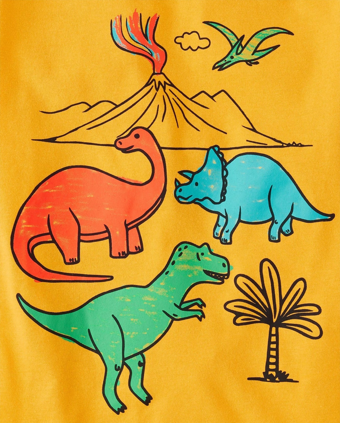 The Children's Place Baby Boys Dinos Short Sleeve Graphic T Shirt - Purcell's Clothing Company - 