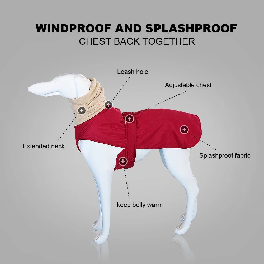 Thick & Warm Dog Vest - Purcell's Clothing Company - 