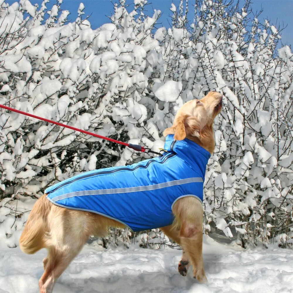 Waterproof Large Dog Vest - Purcell's Clothing Company - 